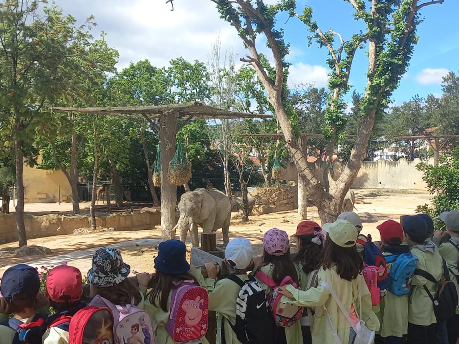 zoo